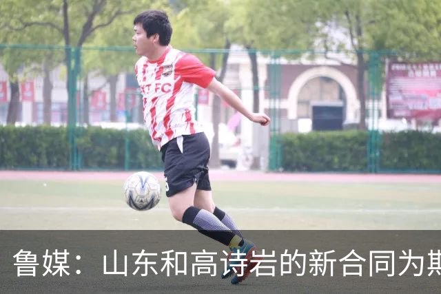 鲁媒：山东和高诗岩的新合同为期两年 与陶汉林的新合同为期一年